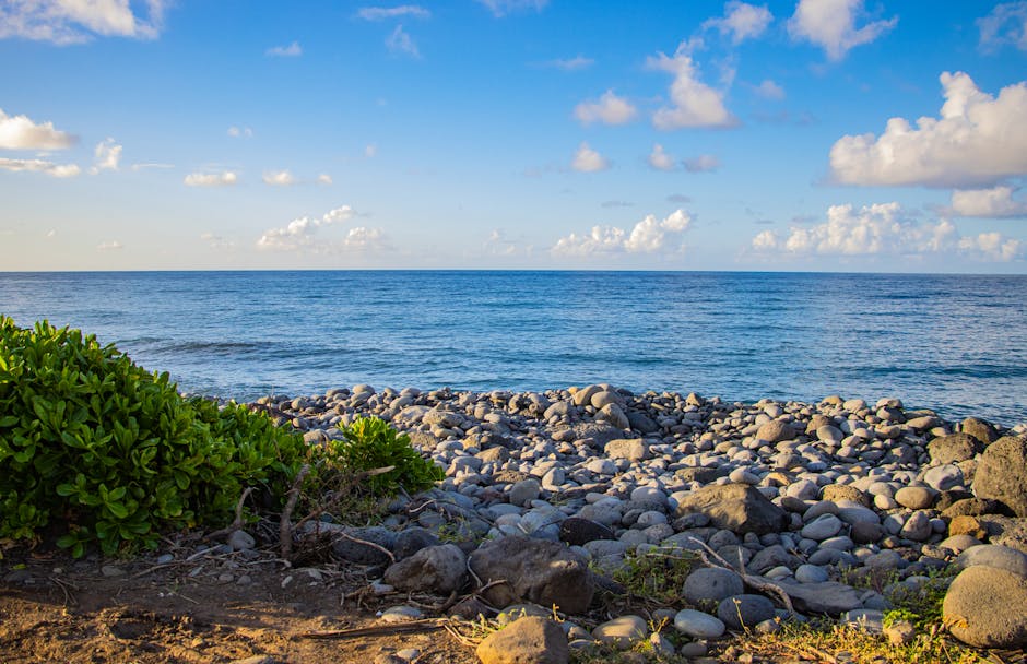 Photo of Saint-denis, Réunion