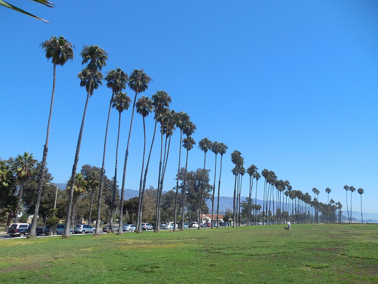 Photo of Santa Barbara, United States