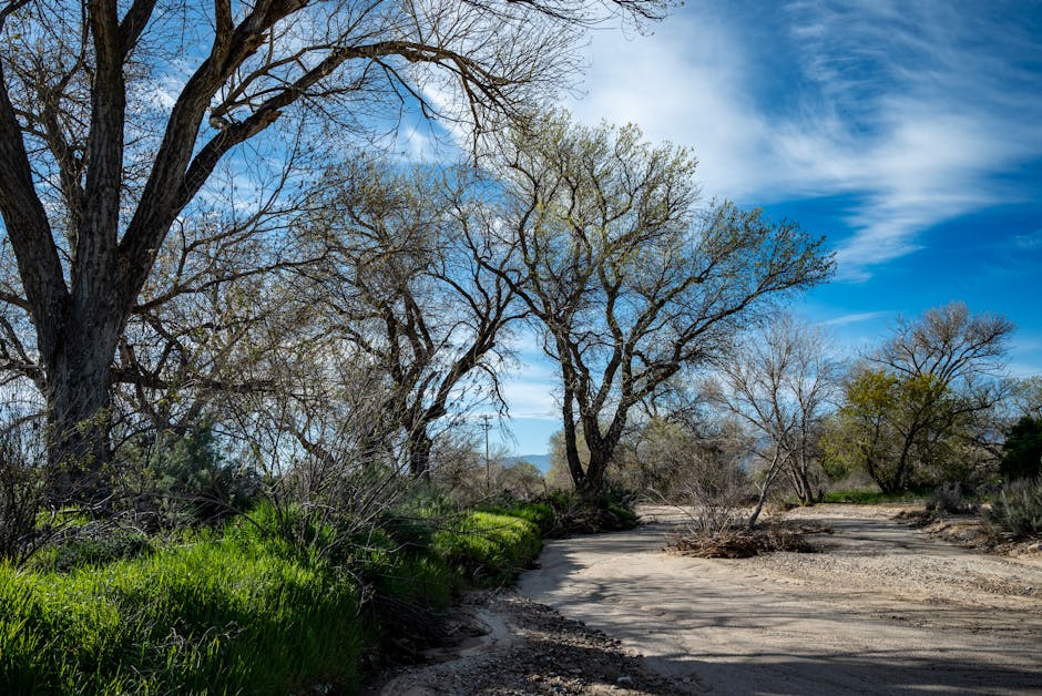 Photo of Santa Clarita, United States