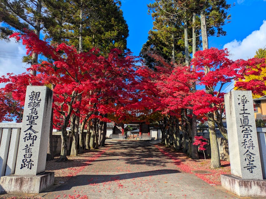 Photo of Sendai, Japan