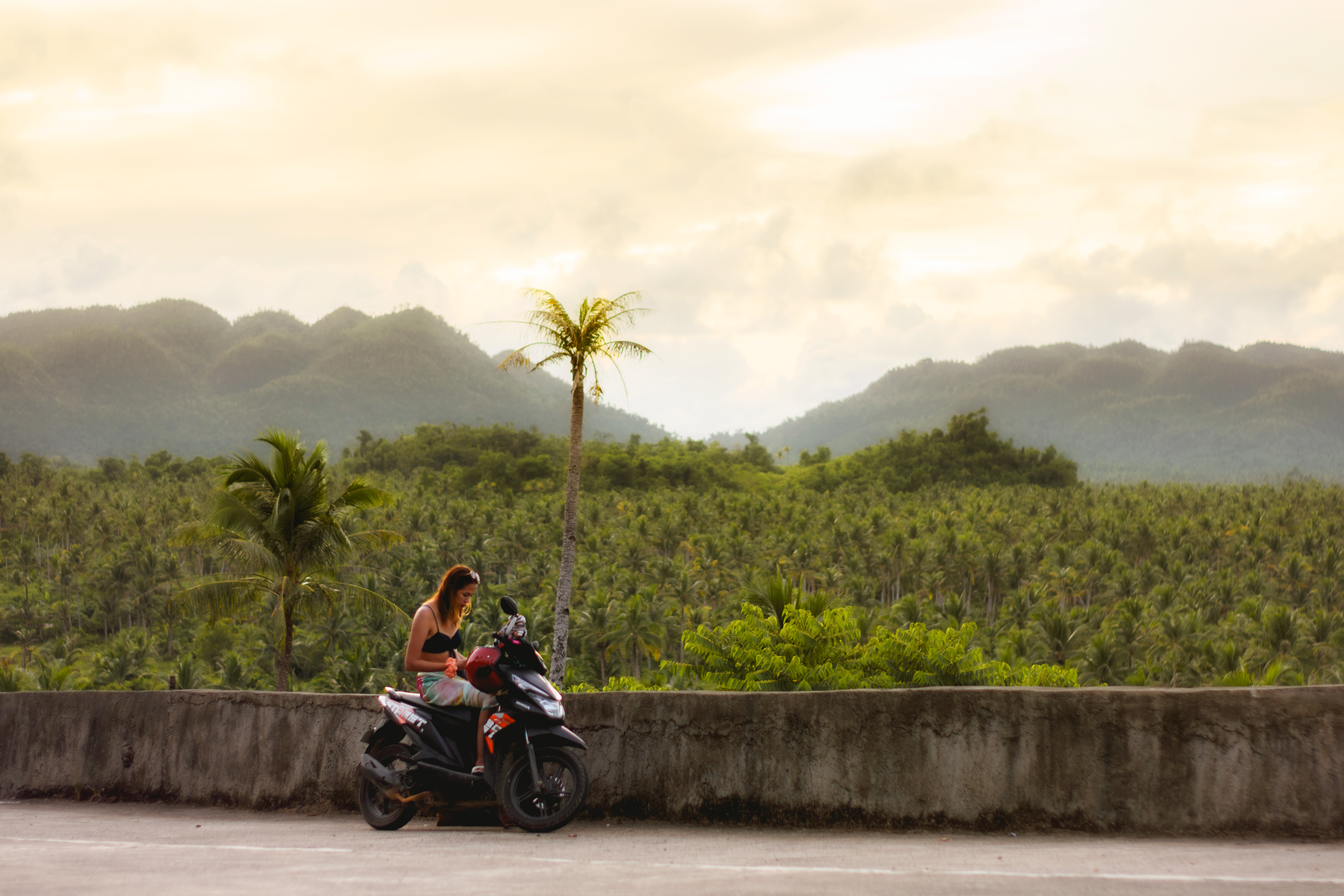 Coconut palm tree view deck, Siargao Island, Philippines