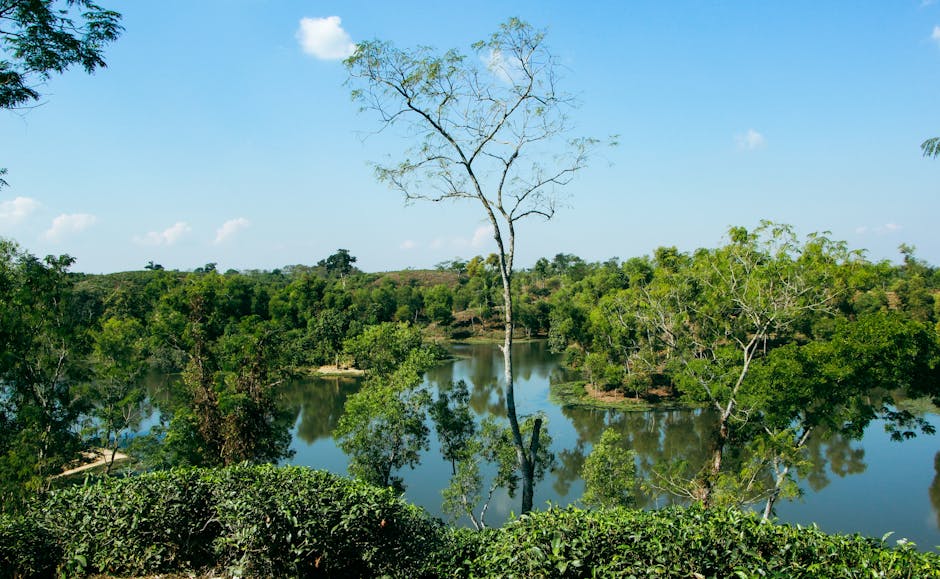 Photo of Sylhet, Bangladesh