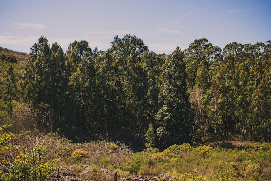 Photo of Tandil, Argentina