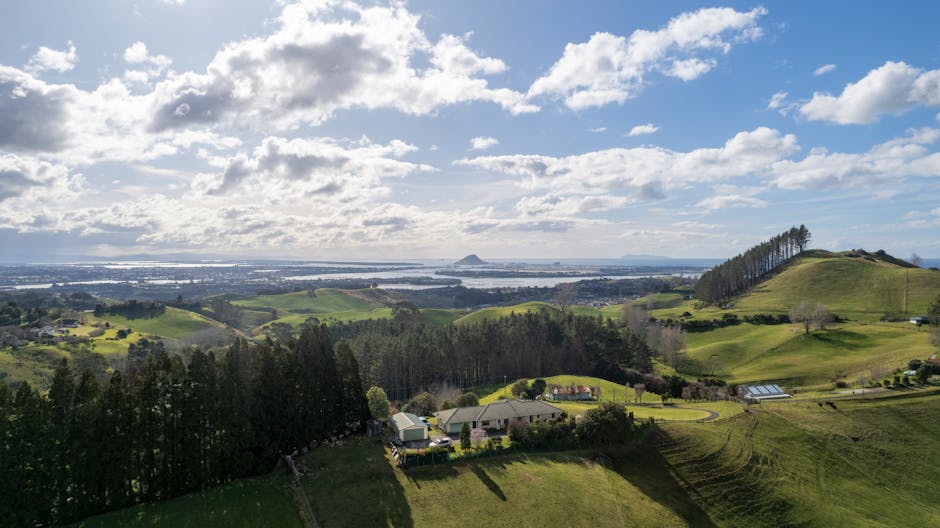 Photo of Tauranga, New Zealand