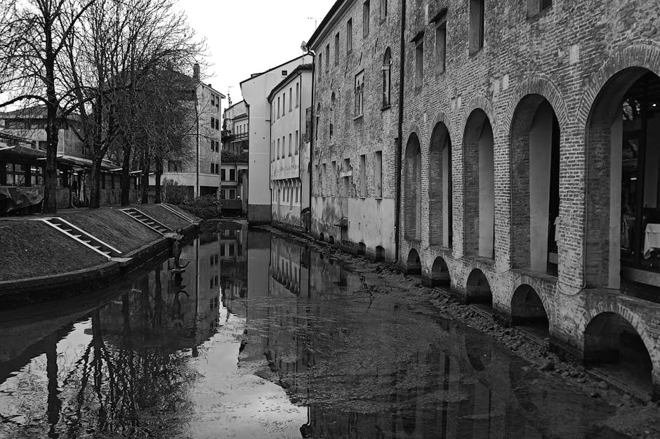 Photo of Treviso, Italy