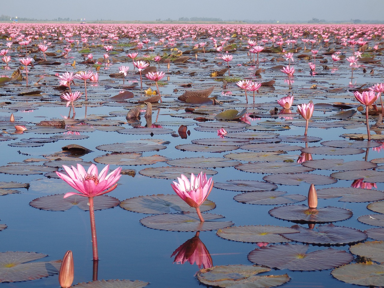 Photo of Udon Thani, Thailand