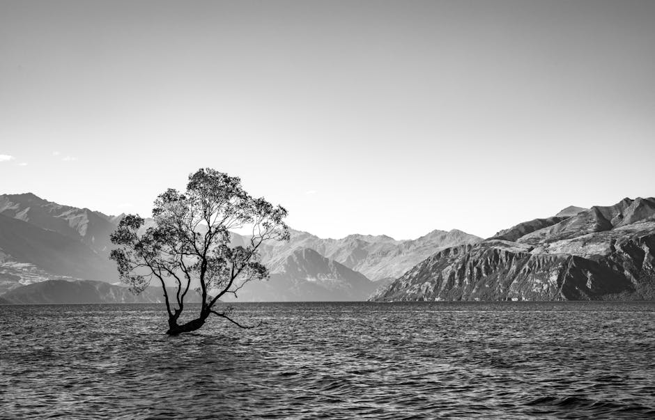 Photo of Wanaka, New Zealand
