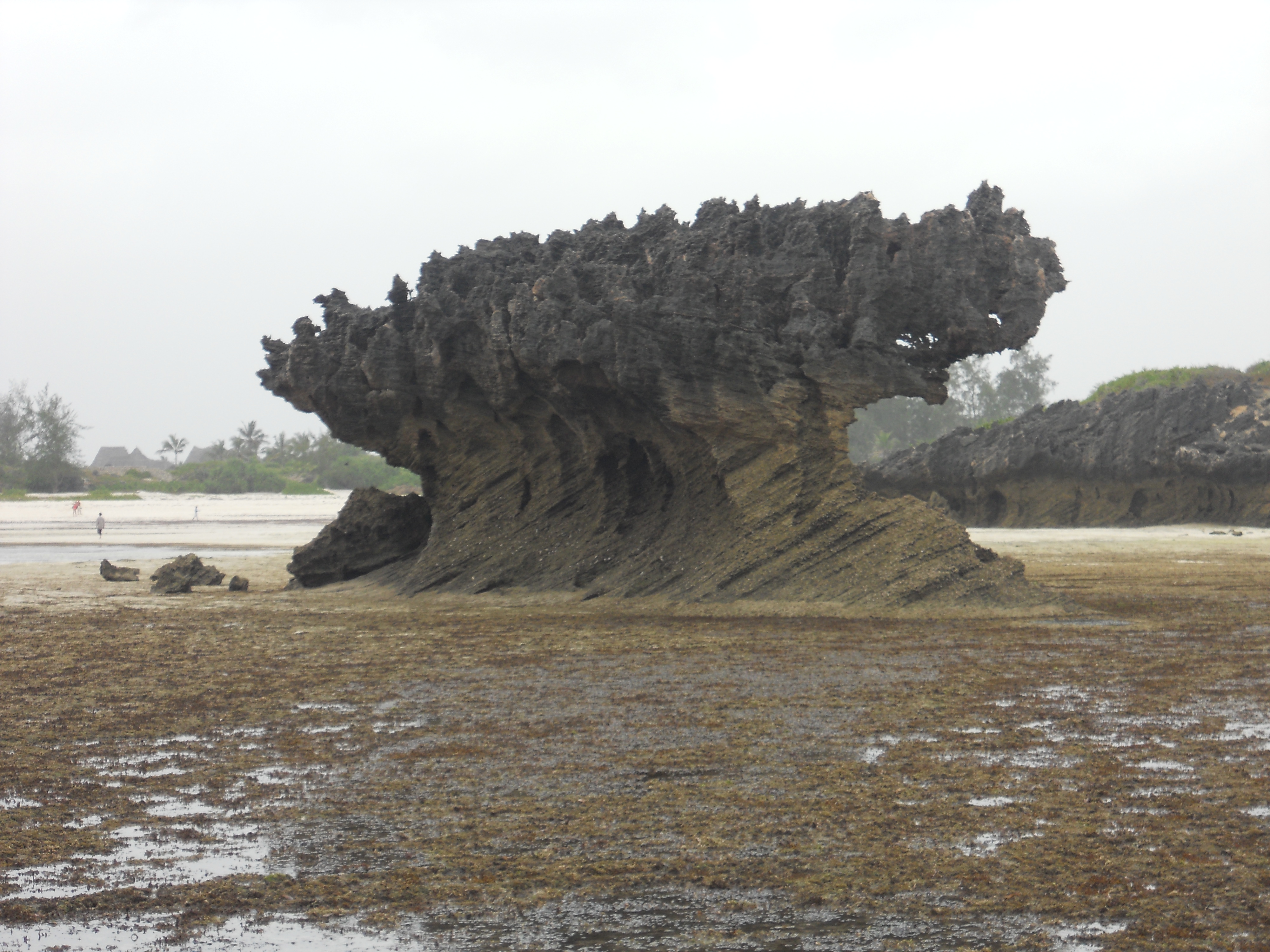 Photo of Watamu, Kenya