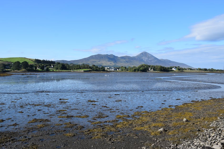 Photo of Westport, Ireland