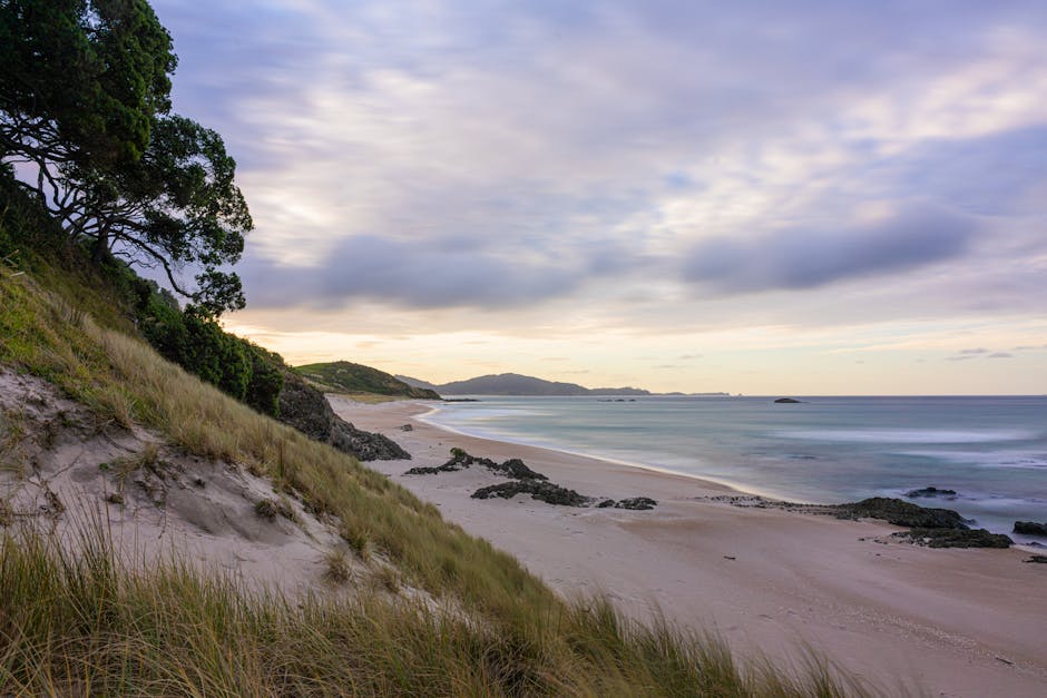 Photo of Whangārei, New Zealand