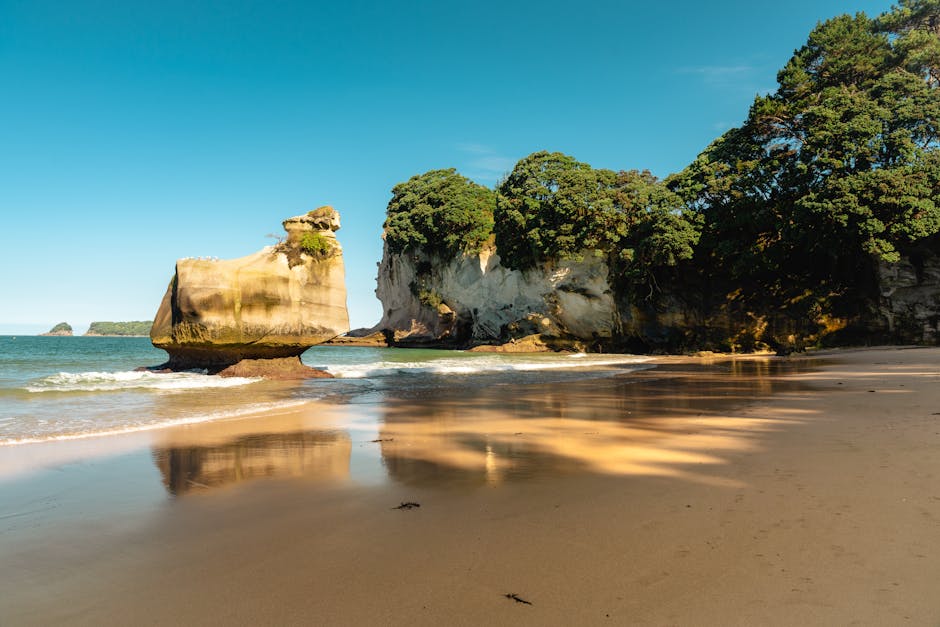 Photo of Whitianga (coromandel), New Zealand