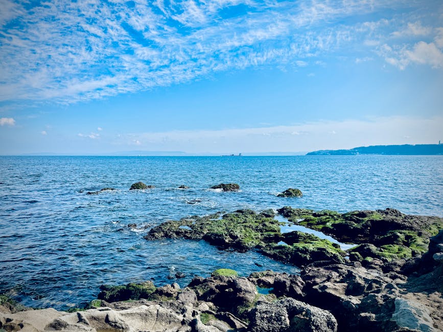 Photo of Yokosuka, Japan