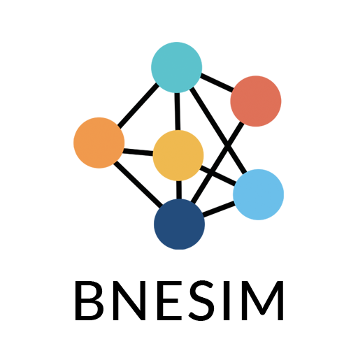 BNESIM logo